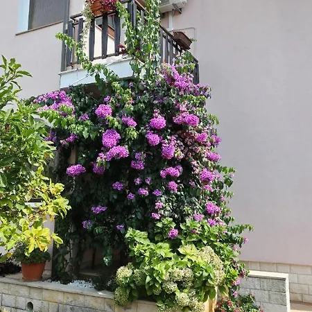 Sweet Mary * Zadar